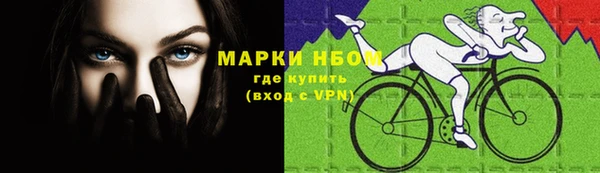 spice Алзамай