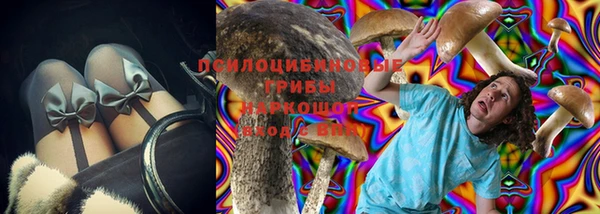 spice Алзамай