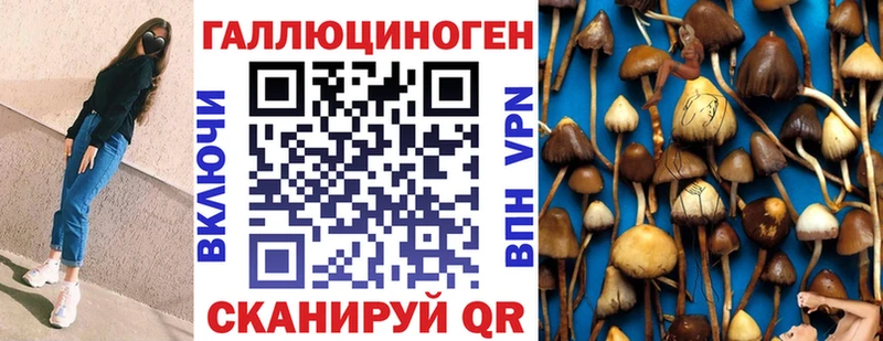 наркота  Зубцов  сайты даркнета как зайти  Галлюциногенные грибы мухоморы 